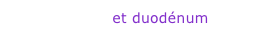 Intestin grêle et duodénum