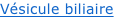shapeimage_7_link_0