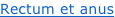 shapeimage_8_link_0